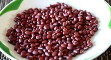 Co je červený hrášek a jak ho pěstovat?